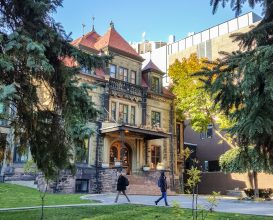 McGill Law