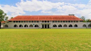 NUS1